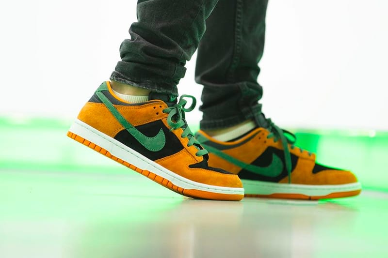 nike dunk on feet