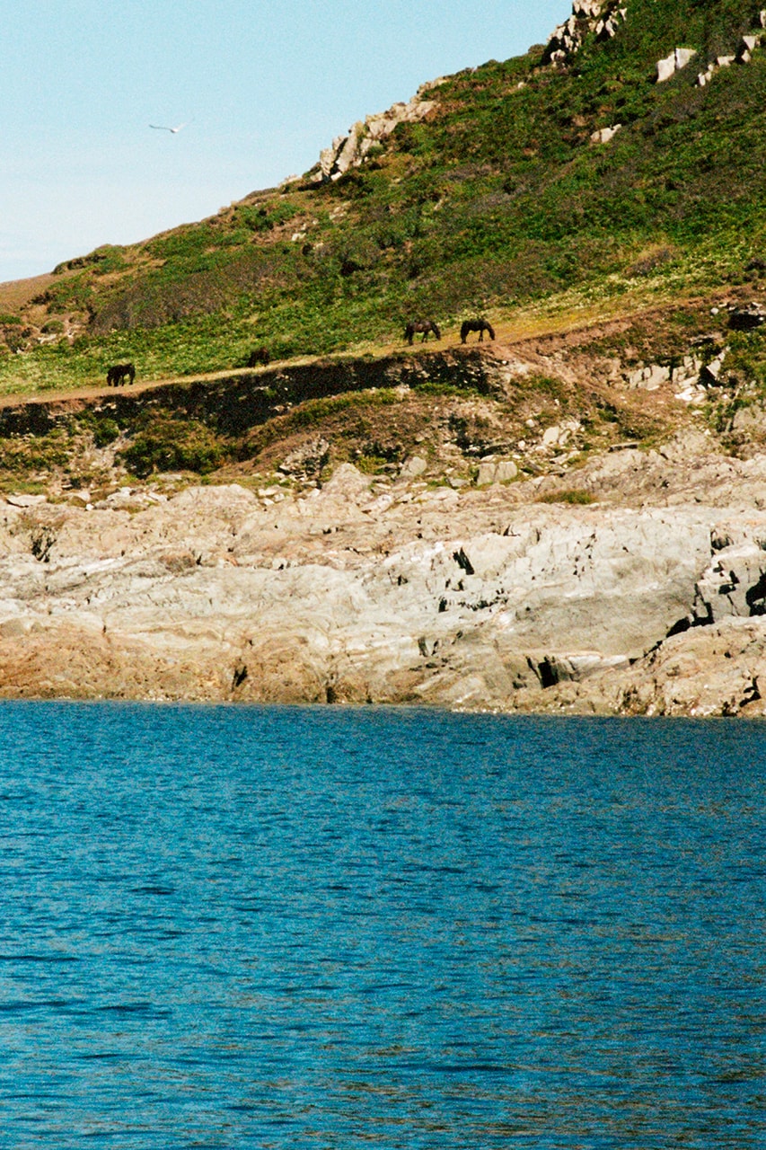 palace adidas originals fall winter 2020 summer sunpal shirt shorts towel water shoes release information buy cop purchase