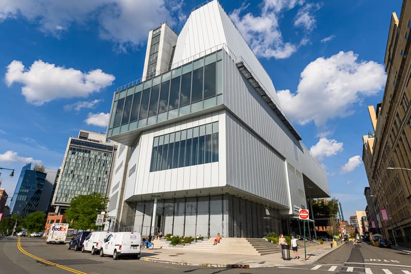 whitney museum of american art see in black photographers collective actions exhibition