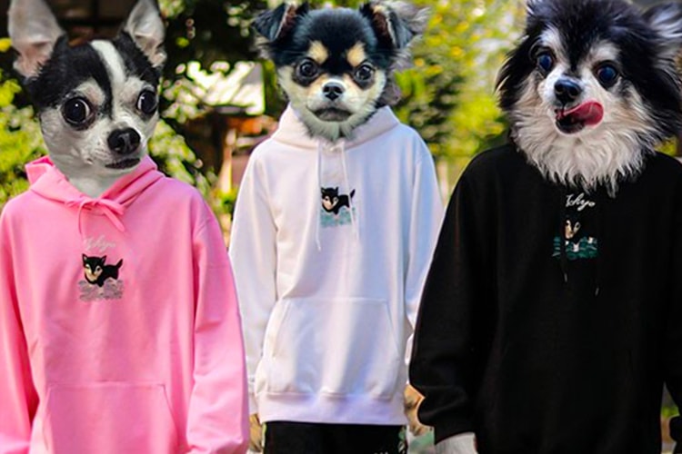 doublet and WISM Craft 3D-Embroidered Chihuahua Hoodies