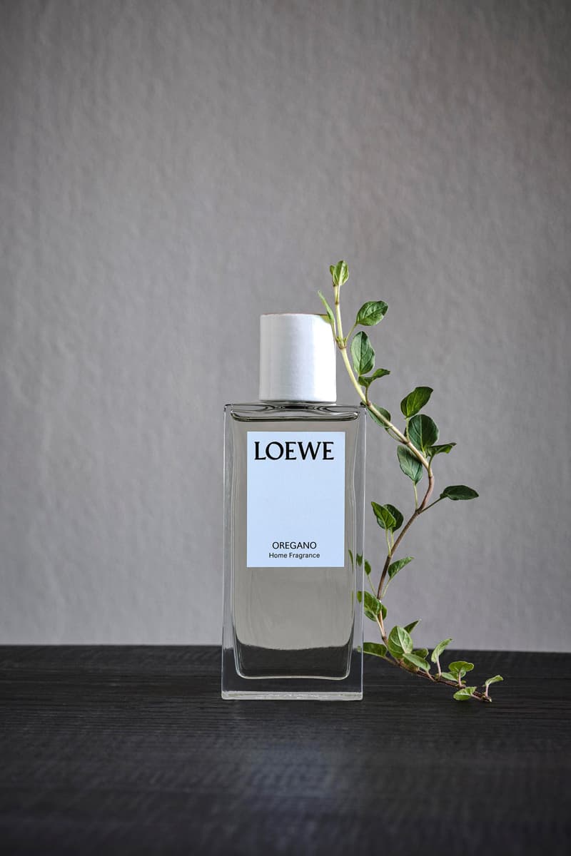 LOEWE Plant-Based Home Scents Collection candles wax candleholders home fragrances rattan diffusers gardens plants