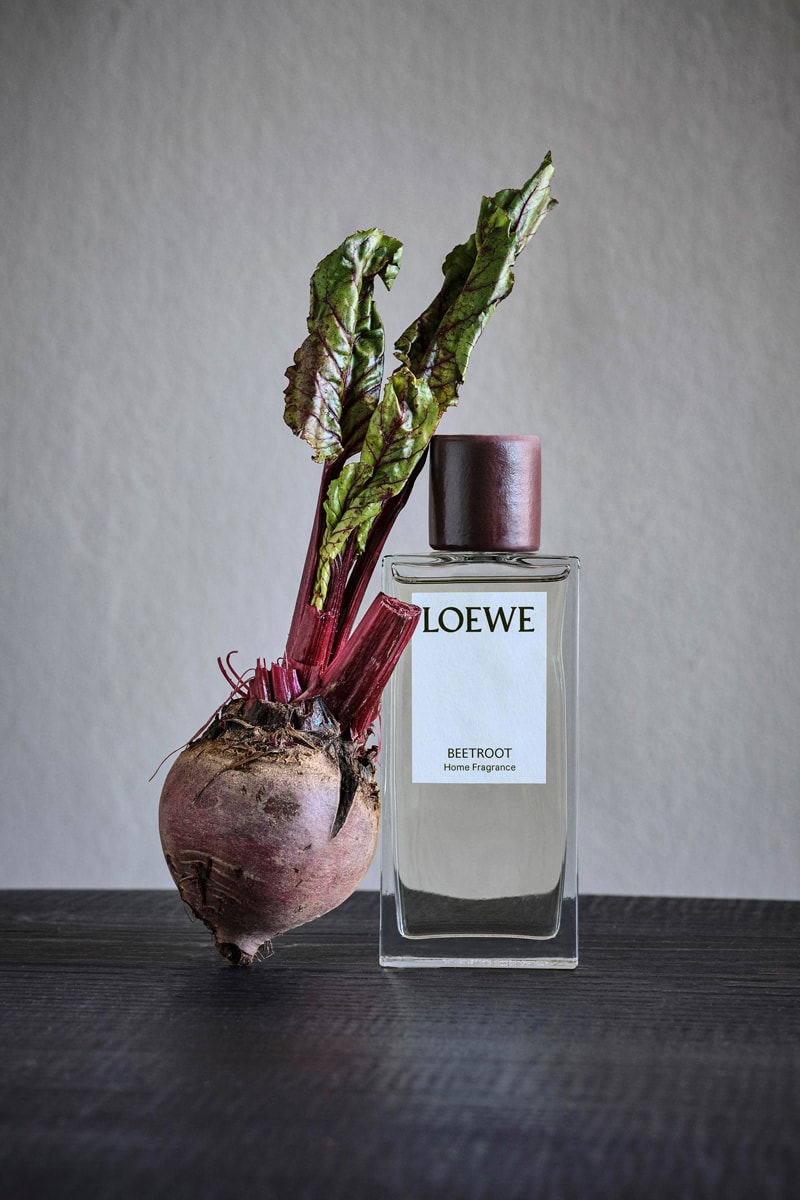 LOEWE Plant-Based Home Scents Collection candles wax candleholders home fragrances rattan diffusers gardens plants