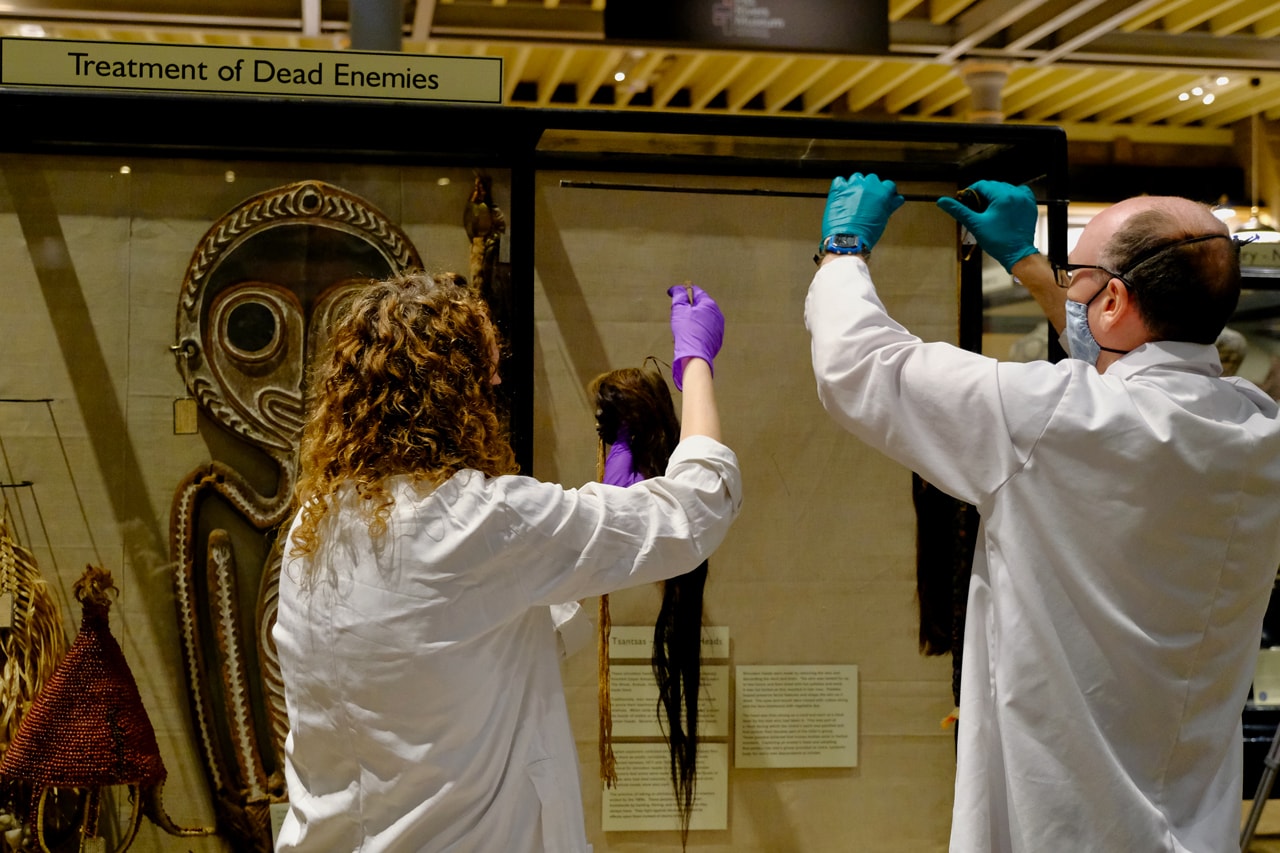Pitt Rivers Museum Removes Shrunken Heads human remains display racist "Treatment of Dead Enemies"