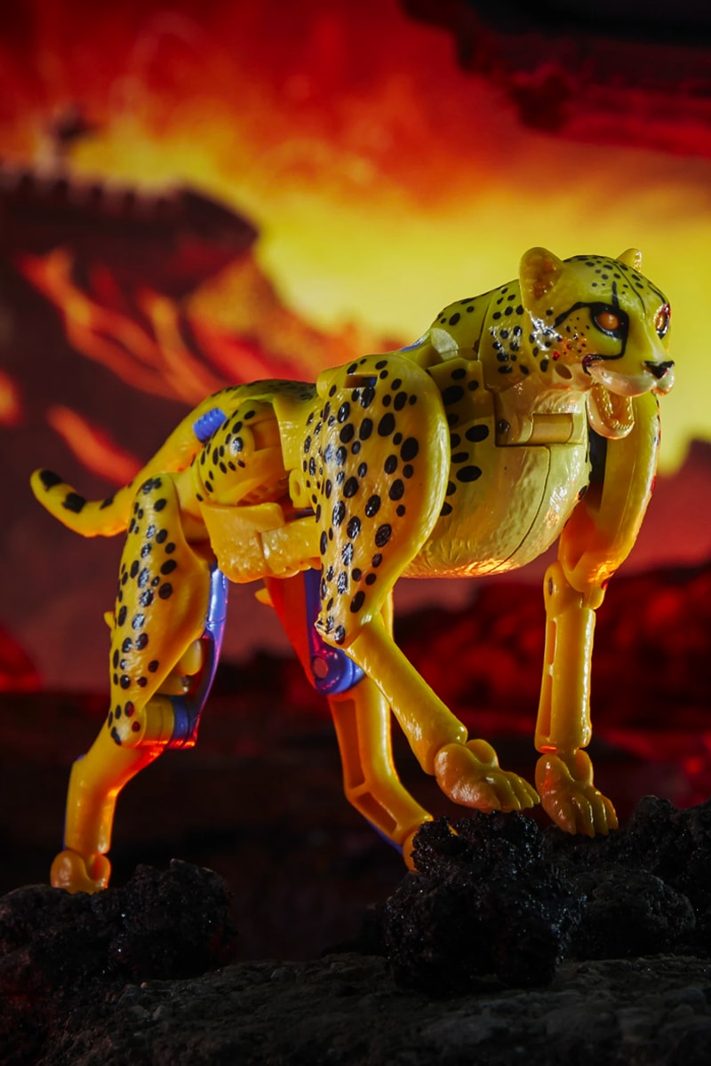 Transformers War for Cybertron Kingdom Beast Wars Figures Release Optimus Primal Megatron Cheetor Rattrap Blackarachnia
