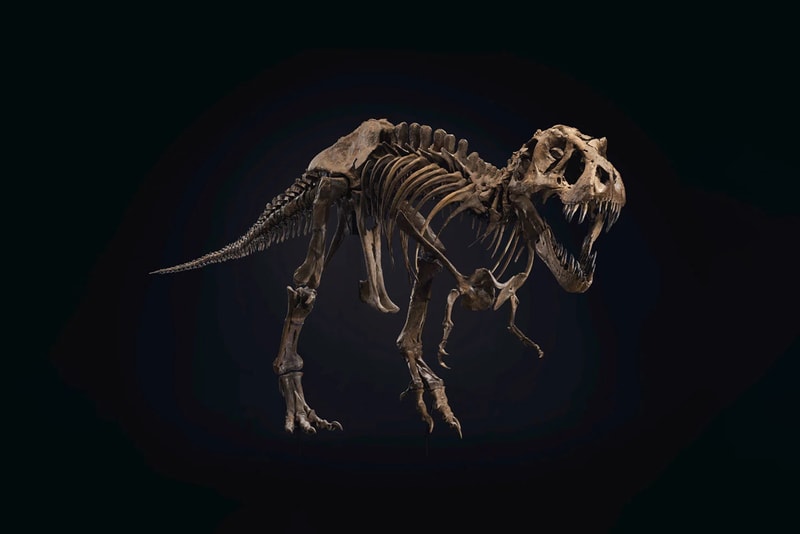 christies Tyrannosaurus rex skeleton auction 