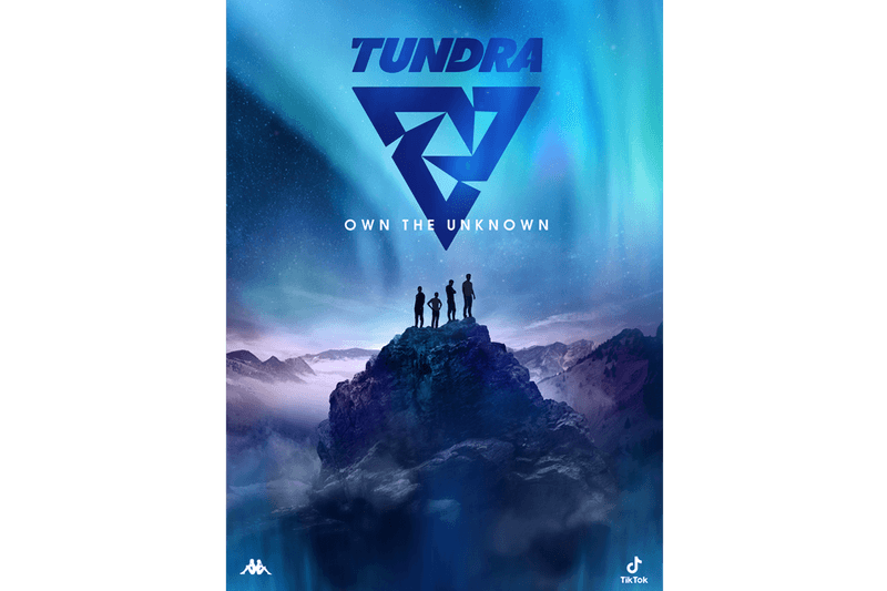 TikTok Tundra Esports Partnership Fifa