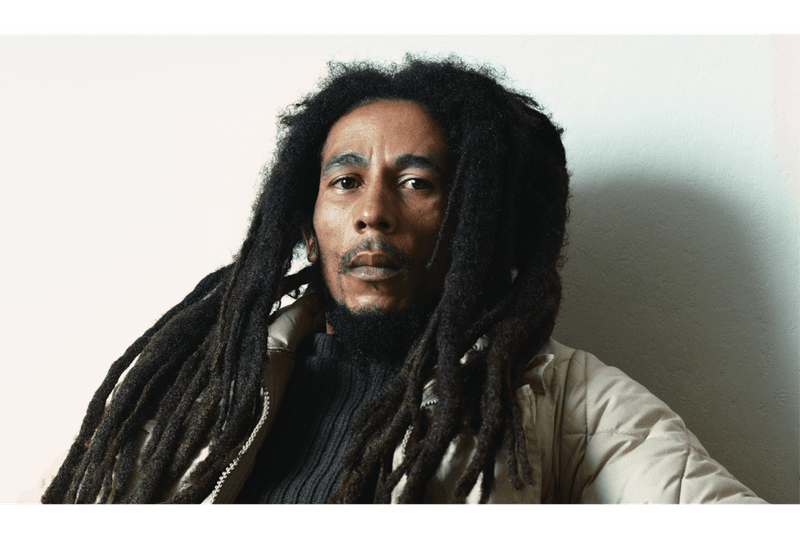 bob marley portrait of the legend rizzoli book