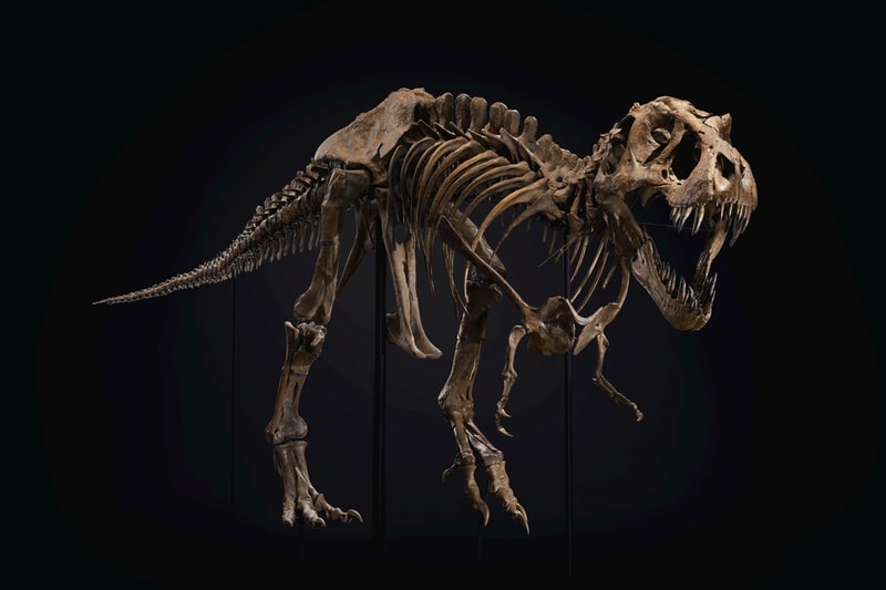 christies Tyrannosaurus rex skeleton auction 