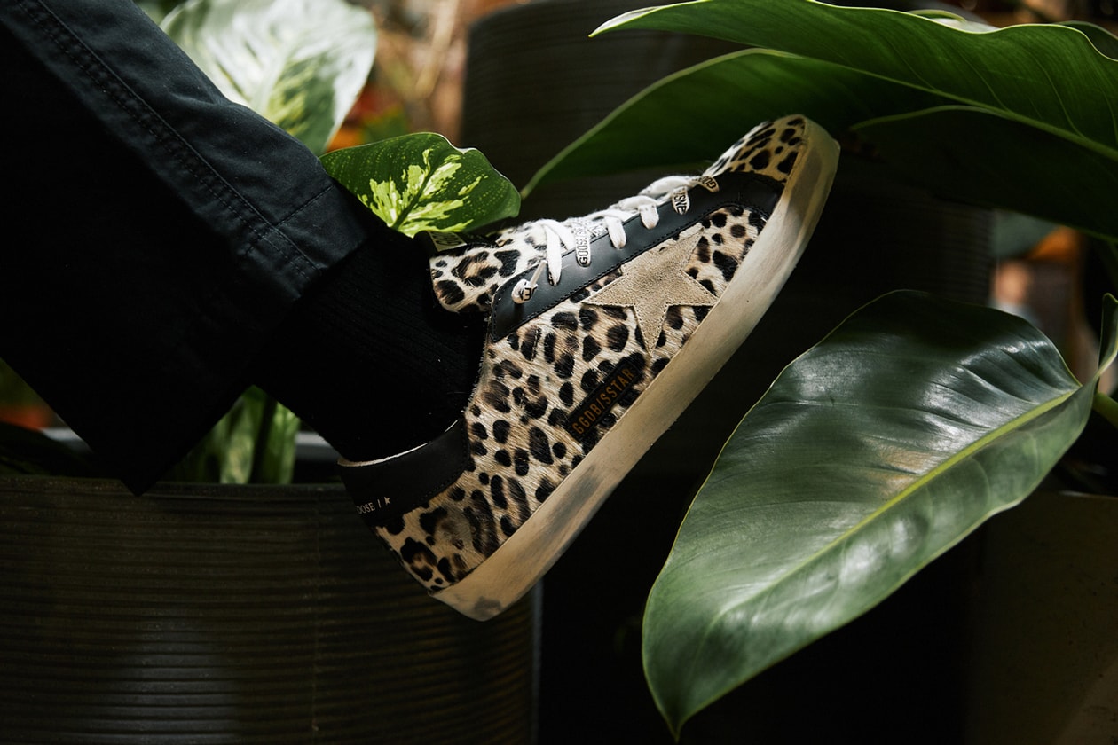 bloomingdales soft leopard-print calf hair signature Superstar distressed appliqué in black leather an off-white suede toe animal print monogram leather upper and lining Italian craftsmanship made in italy true to size graphic low-top sneaker women's unisex