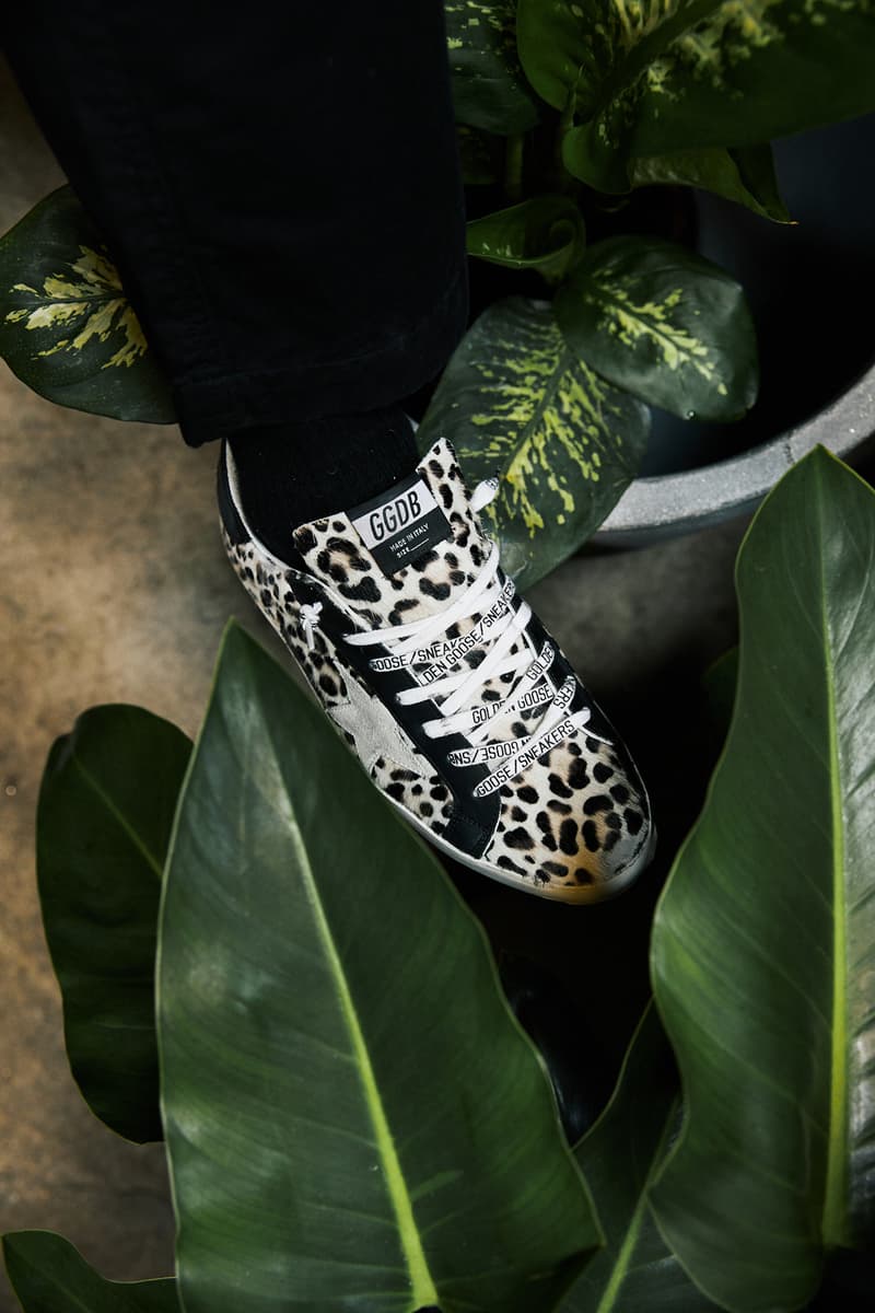 bloomingdales soft leopard-print calf hair signature Superstar distressed appliqué in black leather an off-white suede toe animal print monogram leather upper and lining Italian craftsmanship made in italy true to size graphic low-top sneaker women's unisex