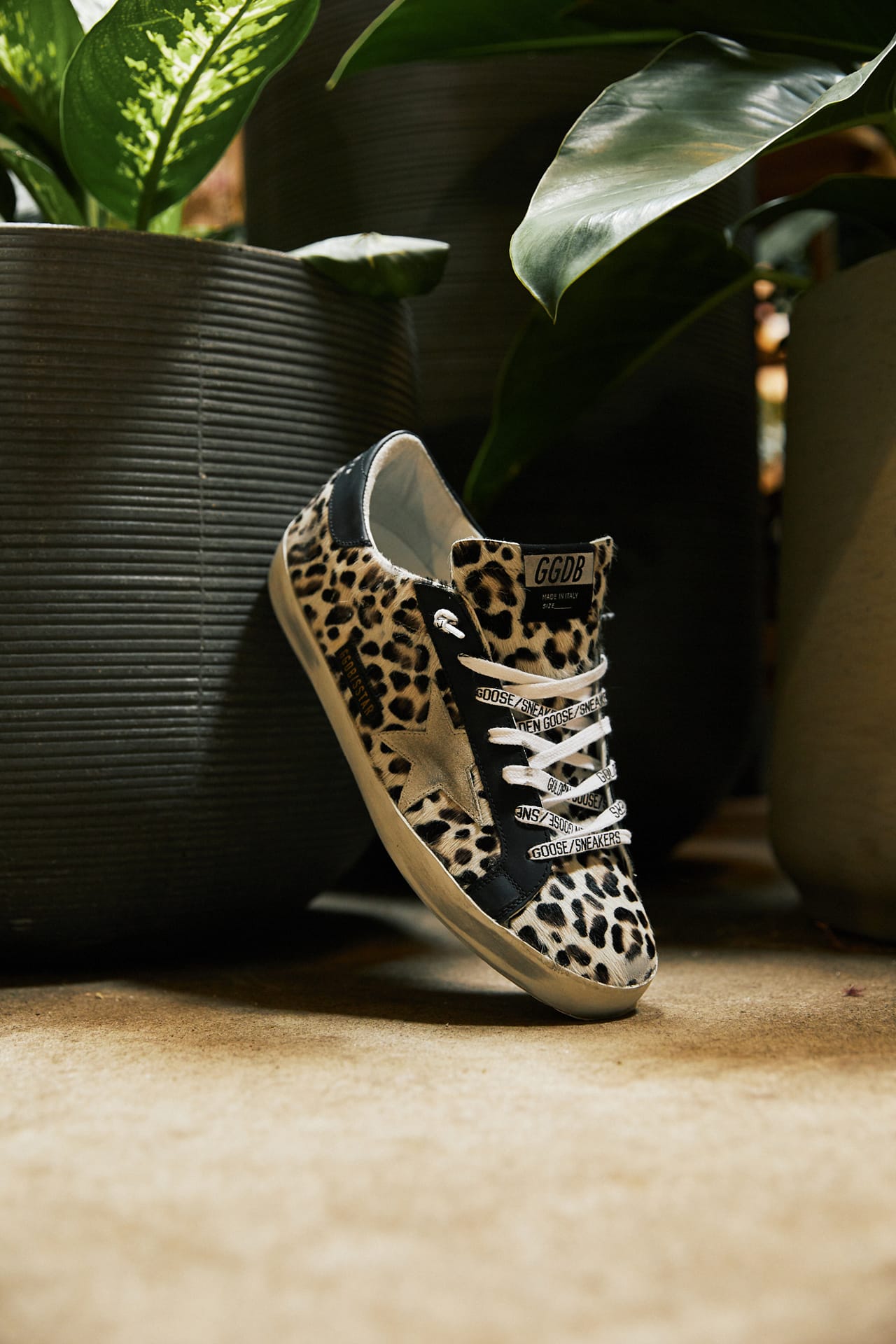 golden goose superstar leopard print sneakers