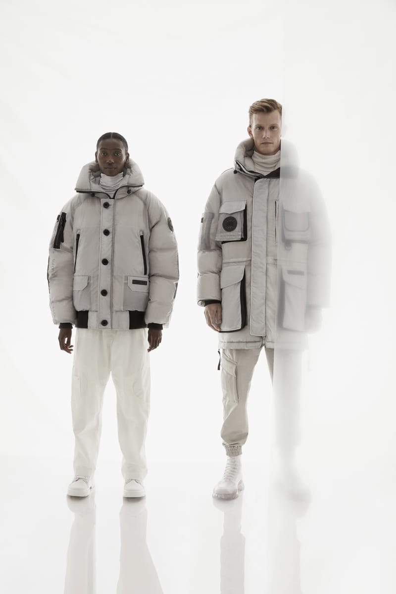 x ray canada goose