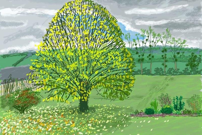 David Hockney Shares New Apple iPad Drawings of Hope