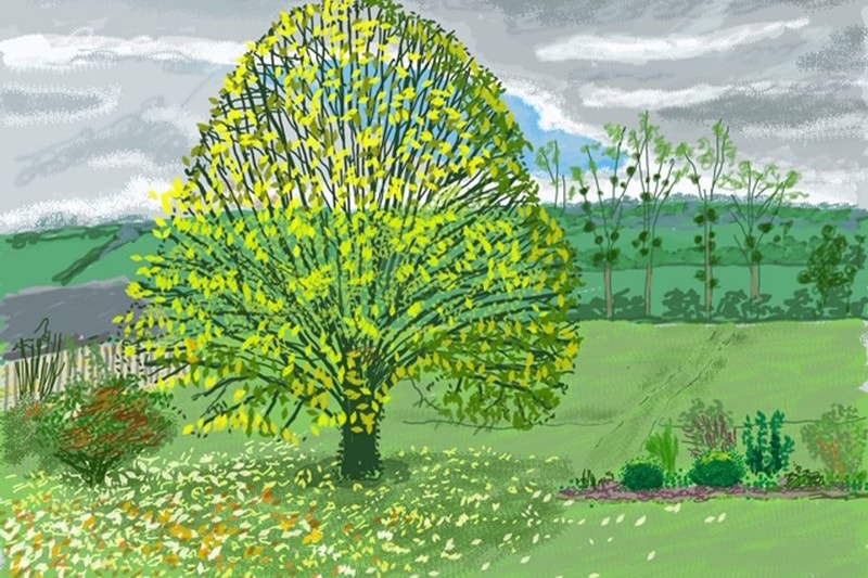 david hockney ipad drawings of hope coronavirus lockdown