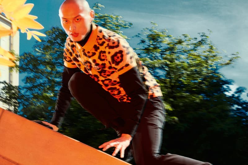 lacoste national geographic frog zebra dragon fly jaguar release information details fall winter 2020 flock together