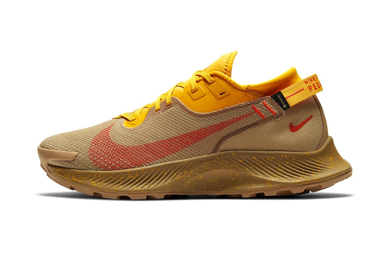 nike running Pegasus Trail 2 gore-tex dark sulphur orange red beige winter running shoes trainers trial 
