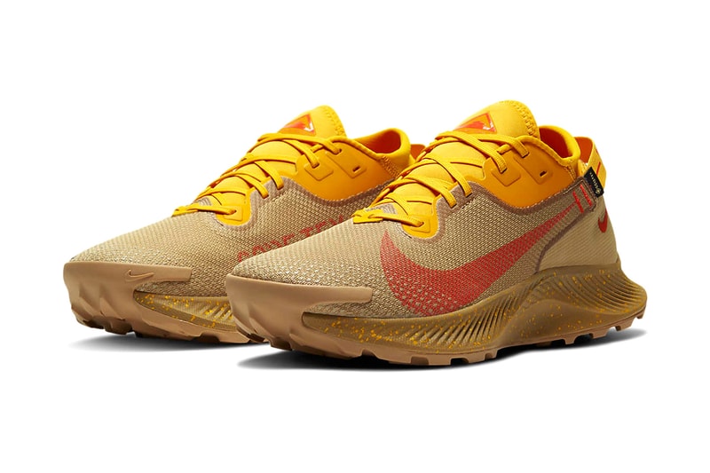 nike running Pegasus Trail 2 gore-tex dark sulphur orange red beige winter running shoes trainers trial 