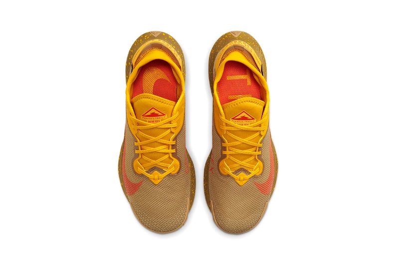 nike running Pegasus Trail 2 gore-tex dark sulphur orange red beige winter running shoes trainers trial 