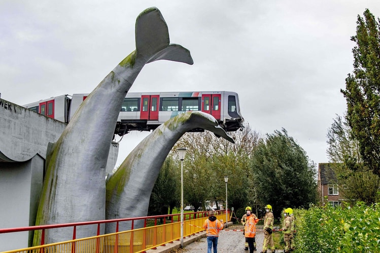 Dutch Train Saved From Crash by Whale Sculpture