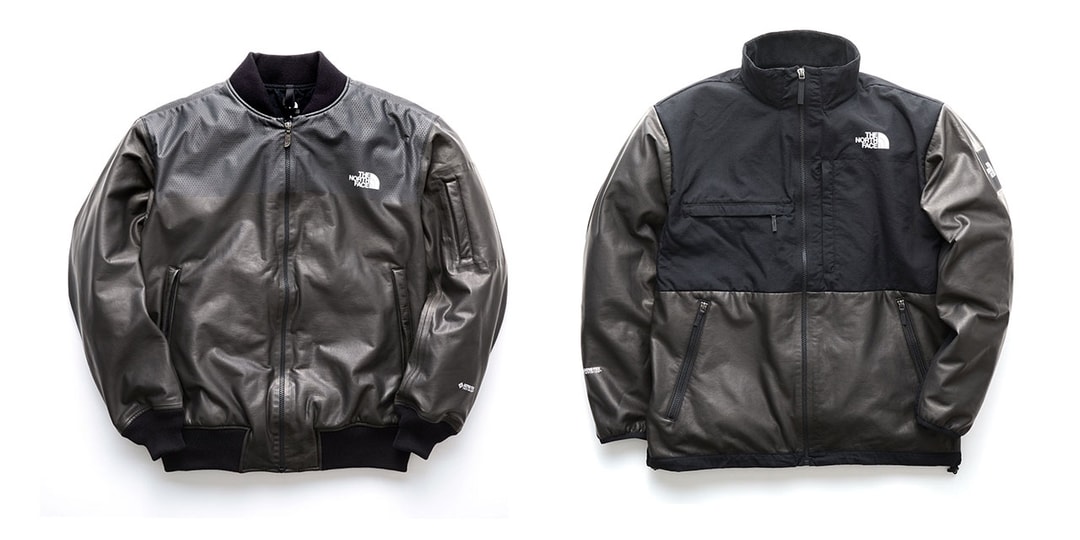 The North Face Japan GORE-TEX INFINIUM Q3, Denali Jackets | Hypebeast