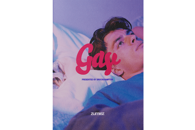 BROCKHAMPTON "Gay" Clothing Collection LGBTQIA+ Queer GLAAD Youth Engagement Program T-Shirt Hoodie Hat Kevin Abstract Vann Dom McLennon Mic Kurb