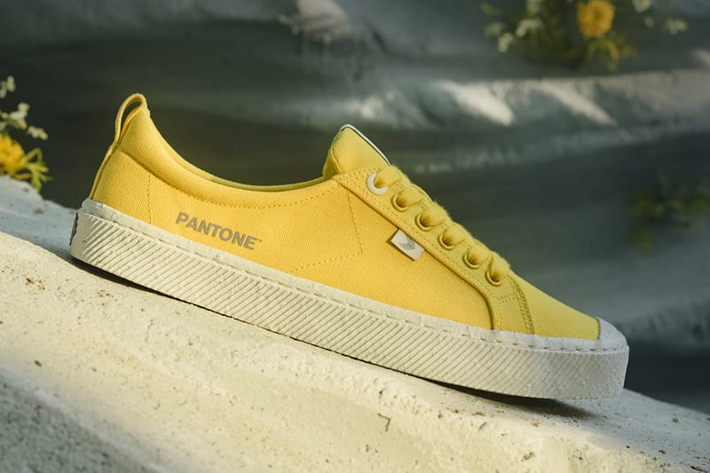 pantone cariuma