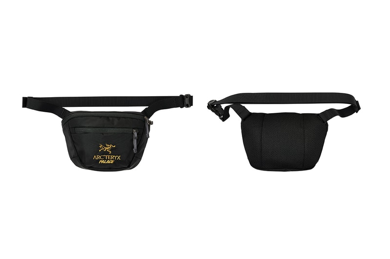 palace skateboards arcteryx fall winter 2020 release information where to buy GORE-TEX climbing skating