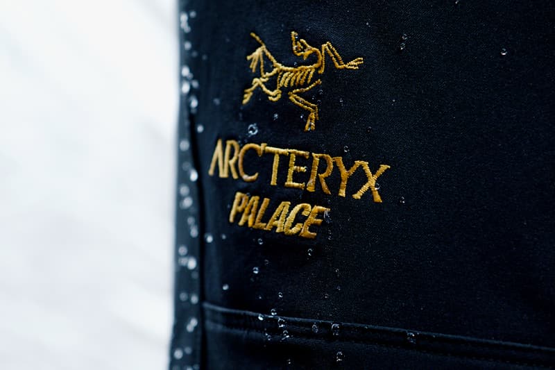 palace skateboards arcteryx fall winter 2020 release information where to buy GORE-TEX climbing skating