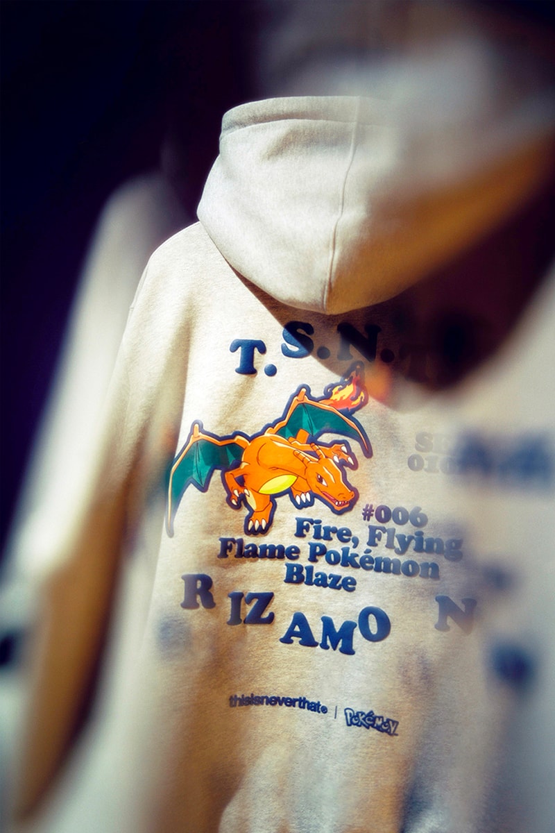 Kanto Japanese Pokemon Hoodie Pokedex 