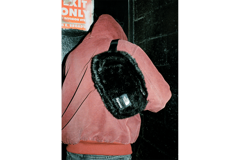 Supreme x The North Face Fall/Winter 2020 Faux Fur Collection  