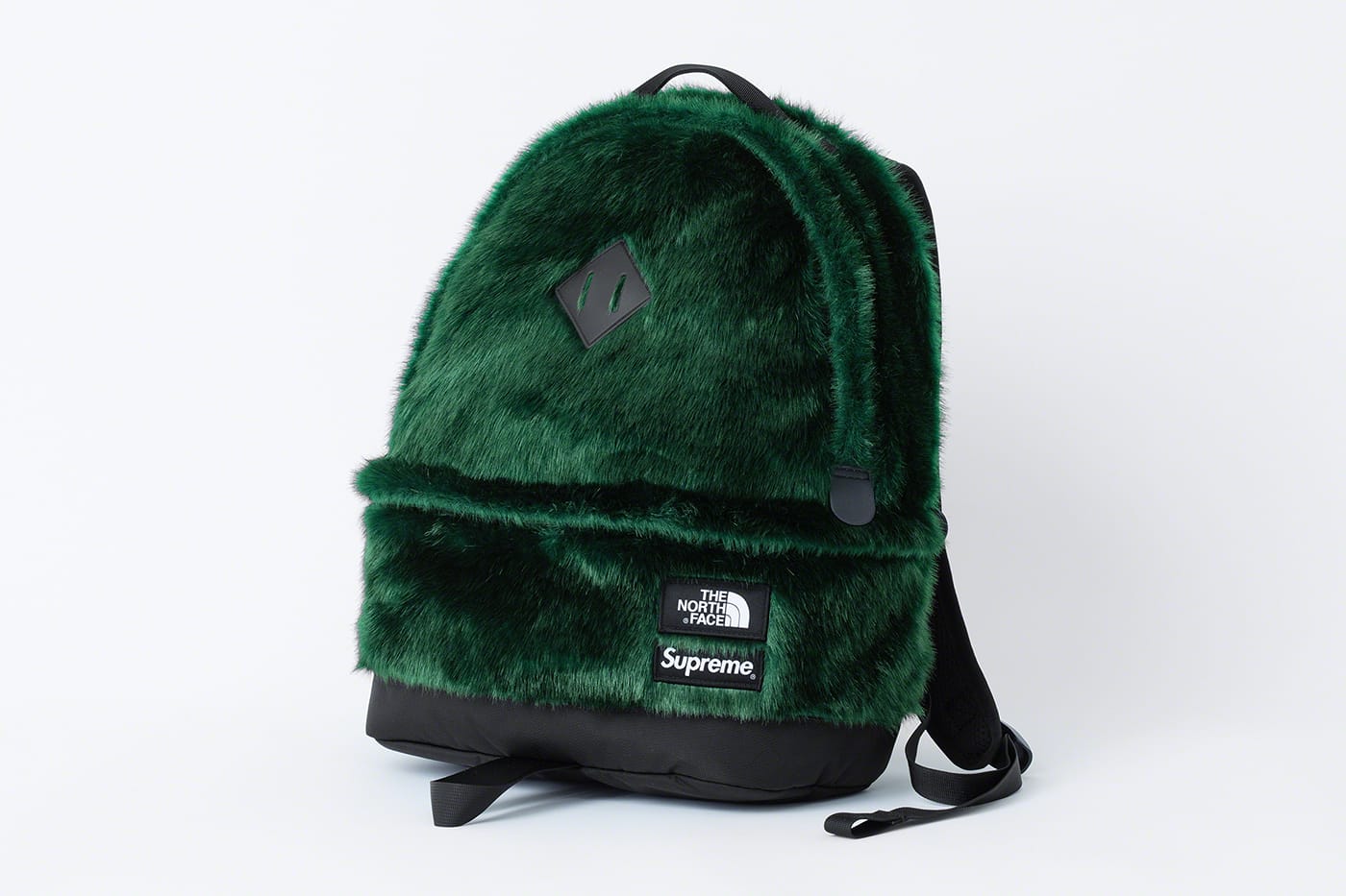 north face with fur inside