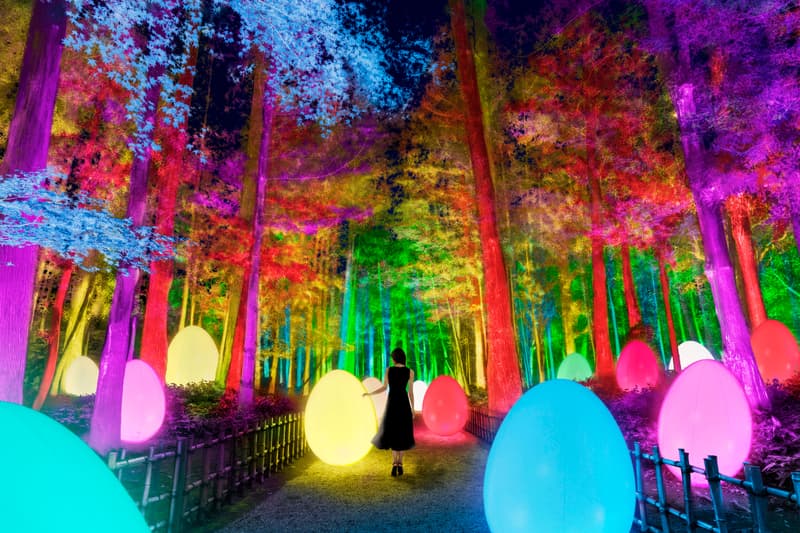 teamlab digitized kairakuen garden installation light sculptures artworks