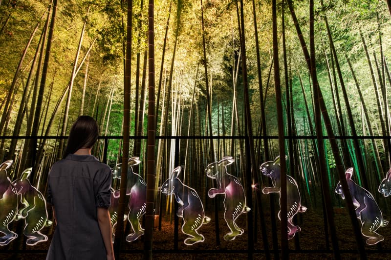 teamlab digitized kairakuen garden installation light sculptures artworks