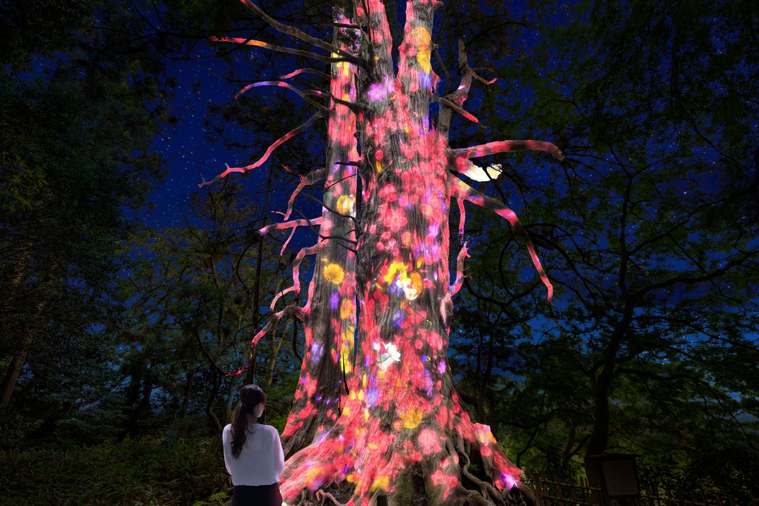 teamlab digitized kairakuen garden installation light sculptures artworks