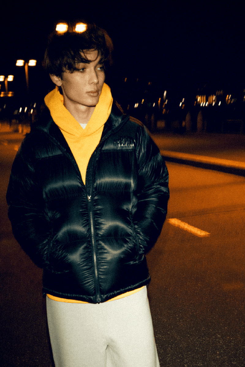 The North Face Nuptse Jacket 2020 The North Face Japan 