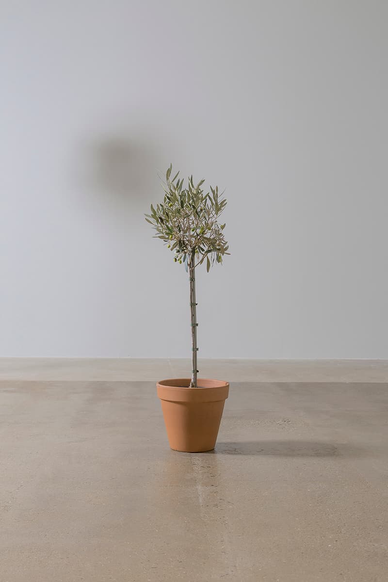 19 chairs tom will butterworth wooden chairs lockdown project charity release details auction exhibition Harry Grundy Max Siedentopf Benjamin Edgar James Shaw Antony Williams Wilfrid Wood Isabel + Helen Morag Myerscough Brandon Carlton Sabine Marcelis Jean Jullien Helmut Smits Ashley Williams Henry Gorse Joe Lycett Emma Brewin Nicole McLaughlin Tom Dixon Es Devlin