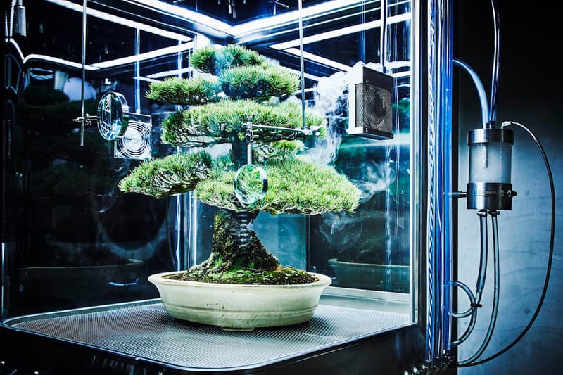 Azuma Makoto Paludarium Tachiko Yasutoshi Exhibit Display StandBy Tokyo Environment Flower Artist