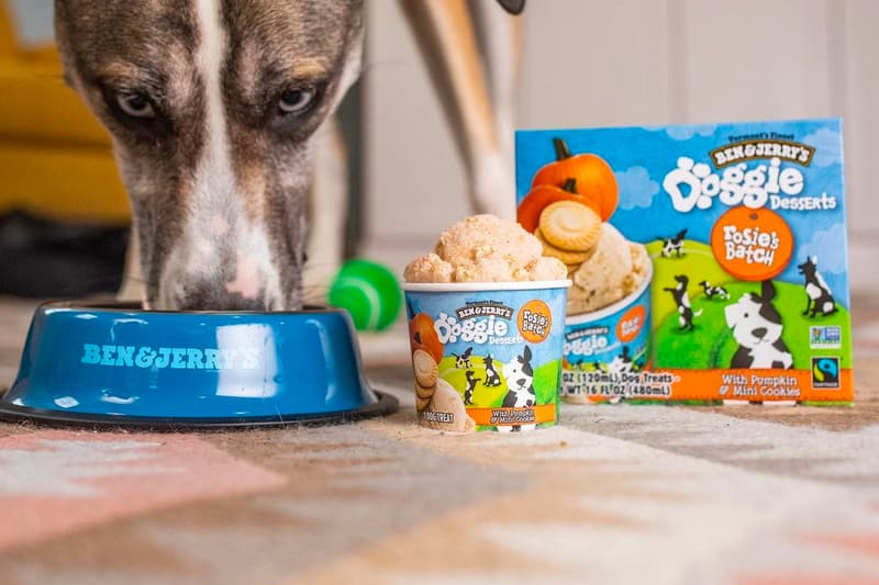 Ben & Jerry's Doggie Desserts Launch Rosie's Batch Pontch's Mix Info Buy Price Taste Review dogs