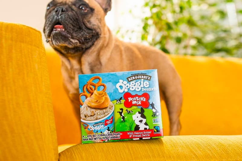 Ben & Jerry's Doggie Desserts Launch Rosie's Batch Pontch's Mix Info Buy Price Taste Review dogs