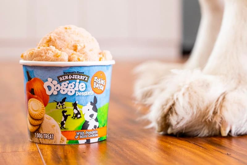 Ben & Jerry's Doggie Desserts Launch Rosie's Batch Pontch's Mix Info Buy Price Taste Review dogs