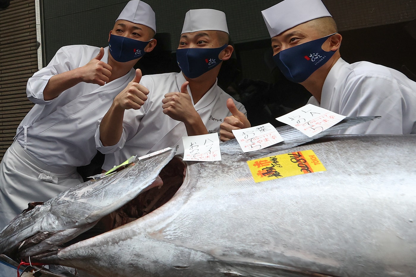 208kg Bluefin Tuna Toyosu Fish Market Auction