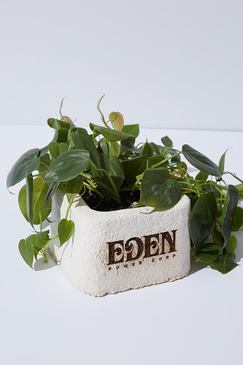 EDEN Power Corp Amadou Mushroom Hat Release Info Buy Price Environment Sustainability