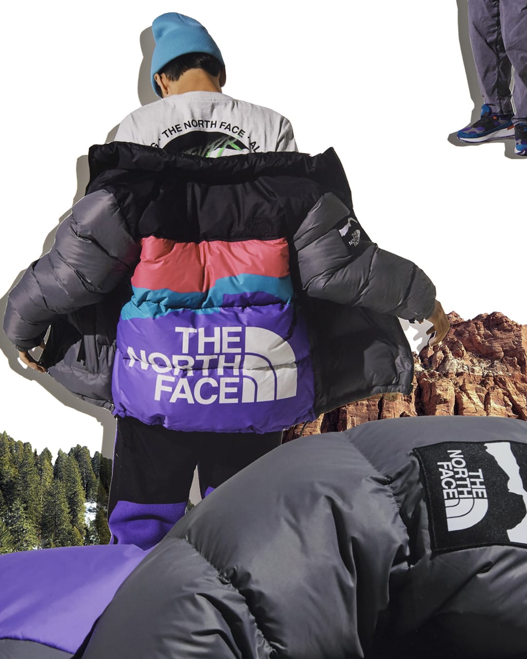 north face website down