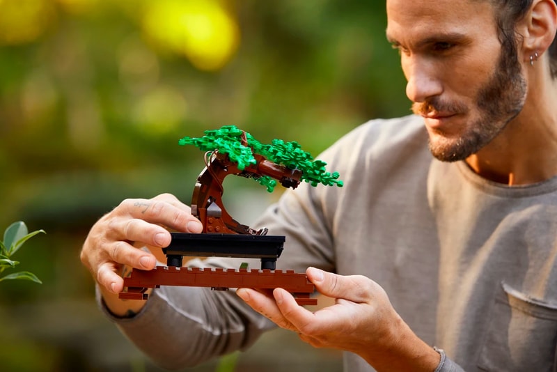 LEGO Flower Bouquet and Bonsai Tree Botanical Collection Full