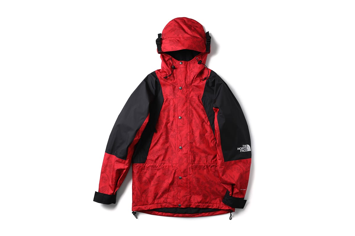 the north face capsule