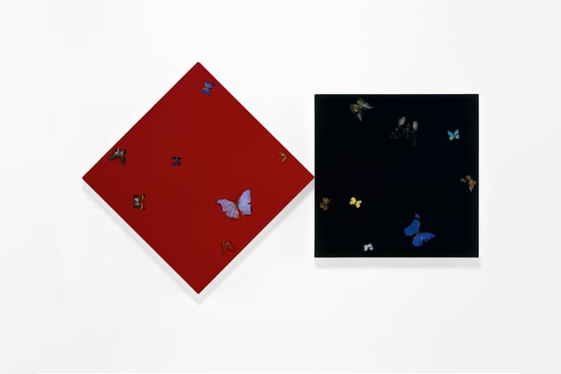 damien hirst mental escapology exhibition st moritz switzerland