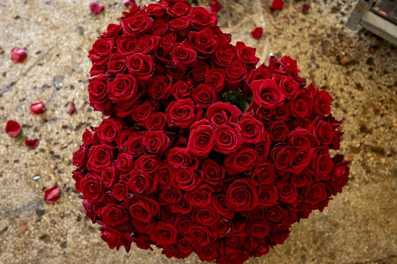 hypebeast hypebae Valentine's Day 2021 Gifts for Your Partner bode chrome hearts futura Oculus Quest 2 PIVOT Fitness Bed Doublet Fried-Potato Socks  Case Study Furniture Arm Shell Rocker NEW TENDENCY Meta Side Table Razer Tomahawk ATX/ Mini-ITX Seth Bogart Matchbooks  Full Size Champagne Trolley  Dyson Supersonic Hair Dryer “White/Silver” Sleeper Tender Fighter Silk Set La Bouche Rouge Paris Lipstick Amina Muaddi Fiona Snake Print Mules Frédéric Malle Bigarade Concentree