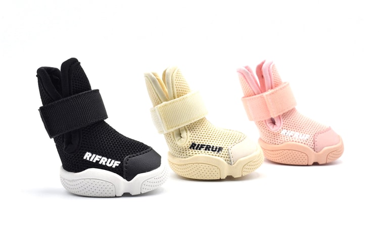 RIFRUF Introduces Vet-Endorsed Design-Driven Dog Sneakers