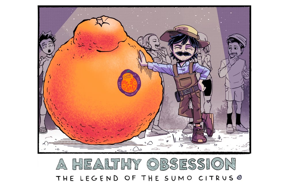 The Story of Sumo Citrus®, Social Media's Favorite Fruit