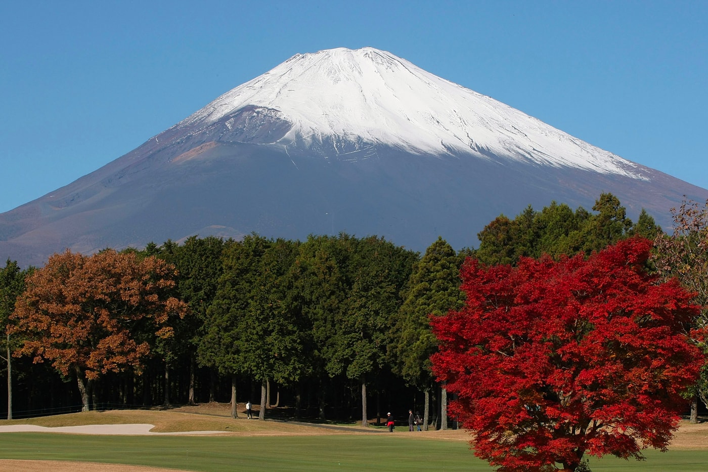 Toyota Mount Fuji smart city construction news